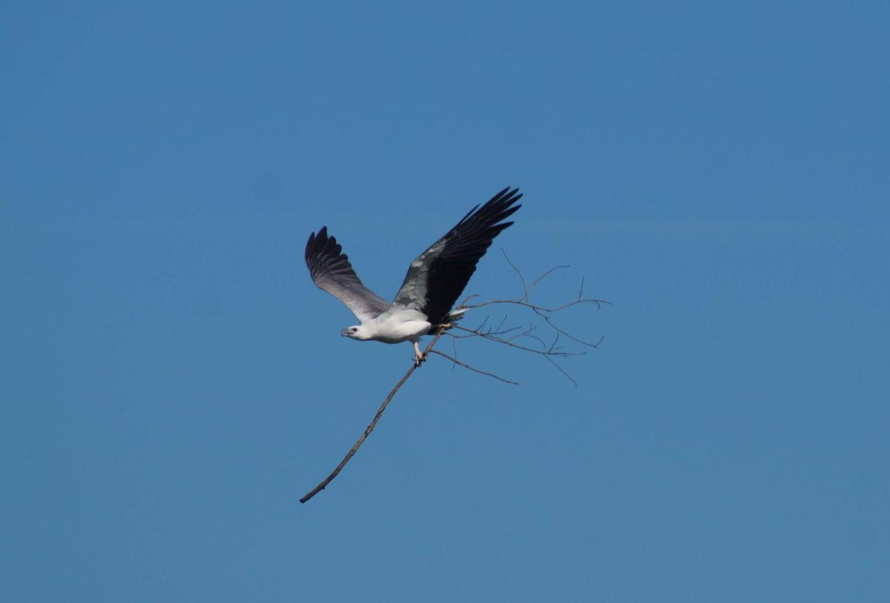 אודוואלאווה Peacock Riverside מראה חיצוני תמונה